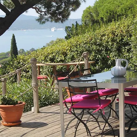 Tourterelle * Sainte-Maxime